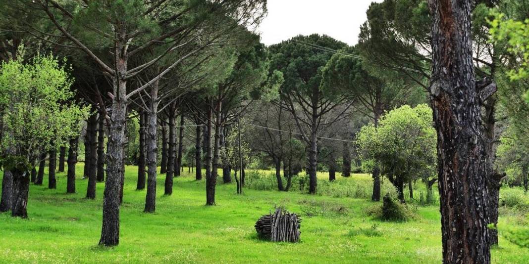 500-1000 metrelik rakımda doğa harikası! Buraya giren çıkmak istemiyor: İster kamp için ister karavan için… 5